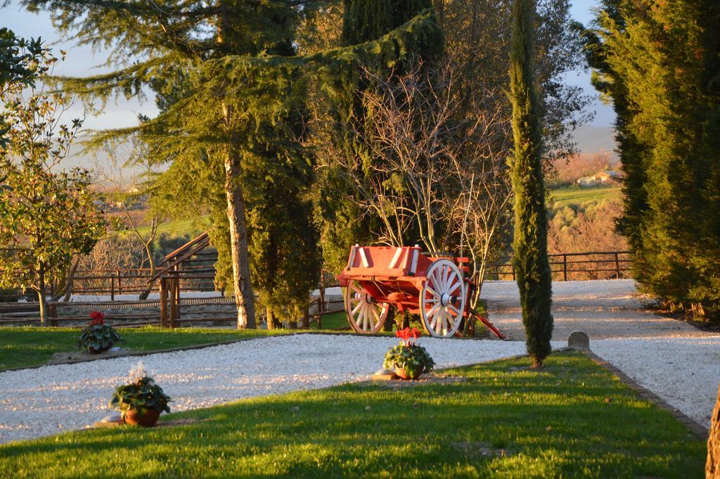Agriturismo La Collina Pitigliano Rum bild