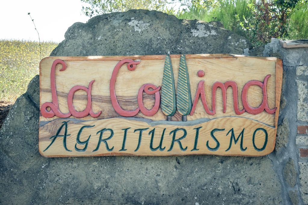Agriturismo La Collina Pitigliano Exteriör bild